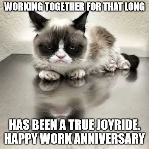 Featured image of post Funny Happy 5 Year Work Anniversary Meme