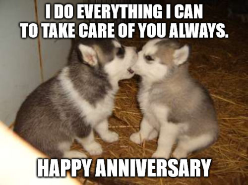 Cute Puppies Anniversary Meme.