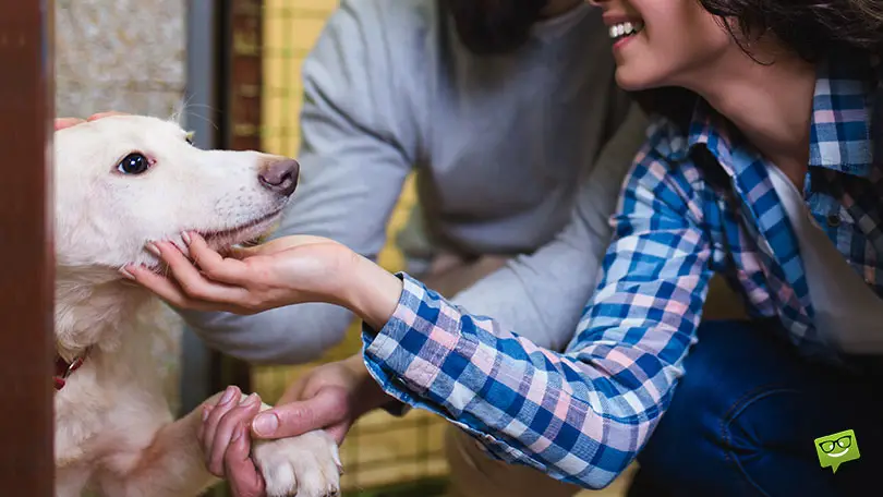 Adopt a pet together. | Birthday Wishes Expert Adopt a pet together.
