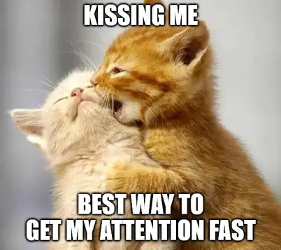 30 Funny Love Memes To Spice Up Your Relationship