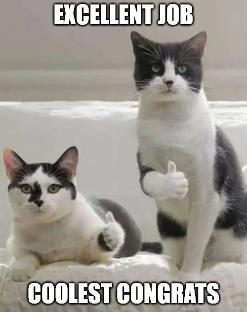 cat thumbs up meme