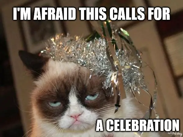Grumpy cat celebration Meme.