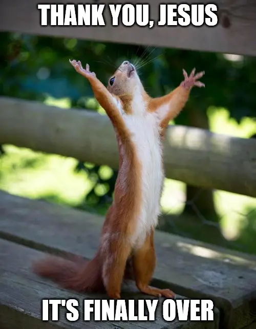 Thank You Jesus It S Finally Over Squirrel Meme