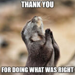 40 Thank You Memes To Share and Show Your Gratitude