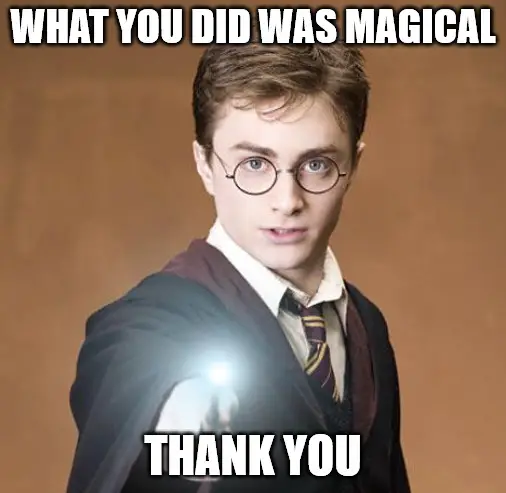 Harry Potter casting a spell meme.