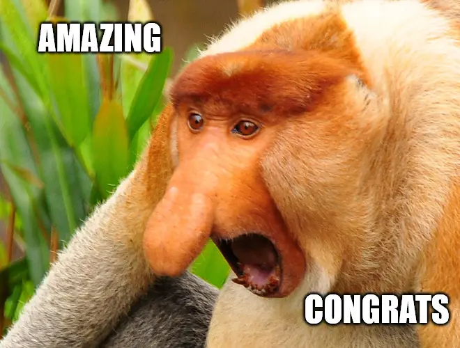 Janusz monkey screaming Congratulations meme.