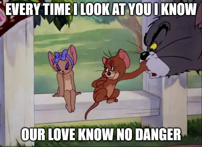 Cute love meme with Tom and Jerry in love.