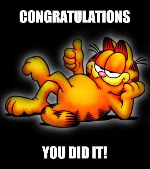 Garfield thumbs up Congratulations meme.