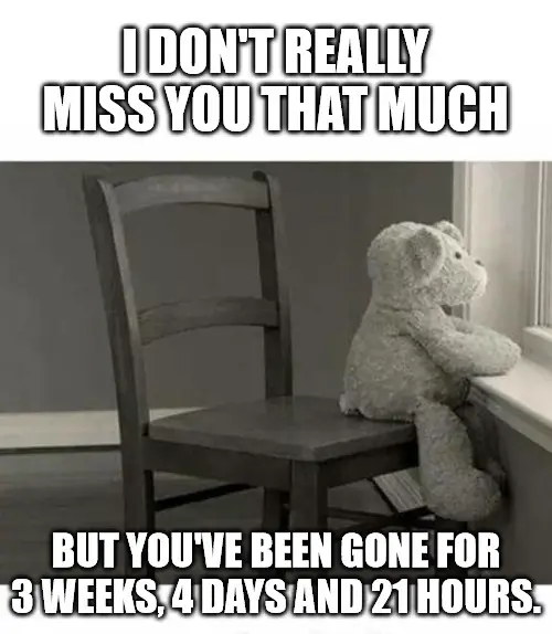 30 Funny I Miss You Memes
