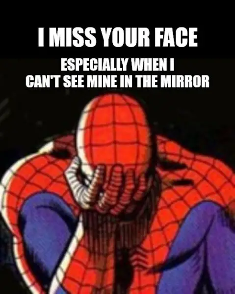 Sad Spiderman I Miss You Meme.
