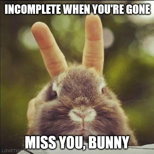 Miss You Bunny Meme.