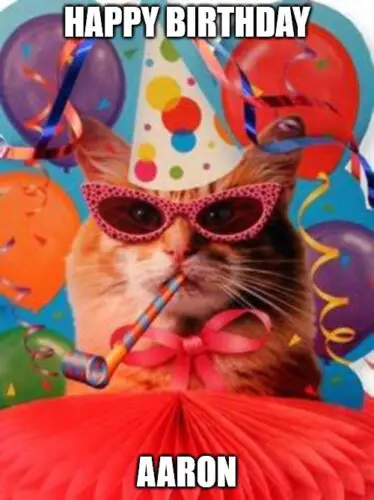 Happy Birthday, Aaron - Cat Celebration Meme.