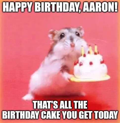 Happy Birthday, Aaron - Birthday hamster Meme.