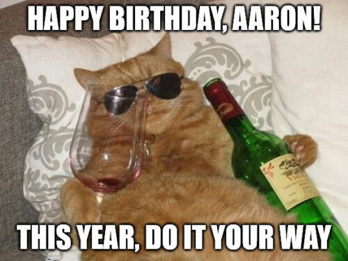 Happy Birthday, Aaron - Funny Cat Meme.