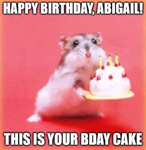 Happy Birthday, Abigail - Birthday hamster Meme