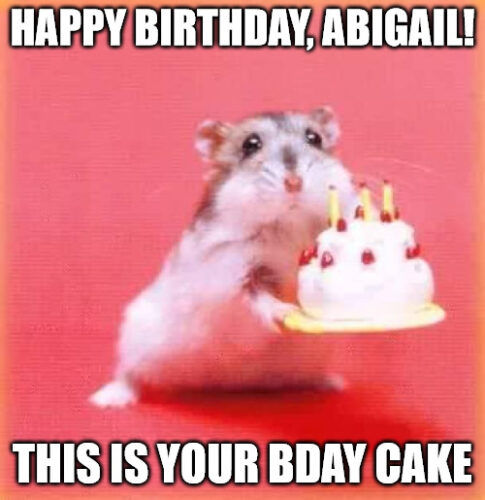 Happy Birthday, Abigail - Birthday hamster Meme | Birthday Wishes Expert Happy Birthday, Abigail - Birthday hamster Meme