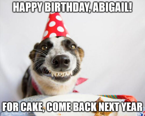 Happy Birthday, Abigail - For cake, come back next year - Birthday Dog Meme