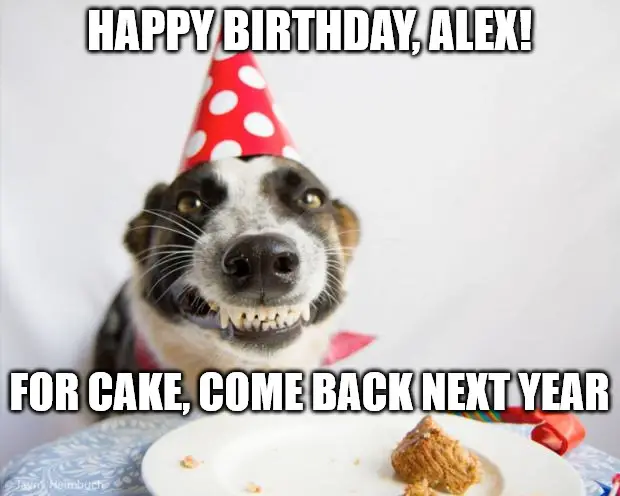Happy Birthday, Alex - Birthday Dog Meme | Birthday Wishes Expert Happy Birthday, Alex - Birthday Dog Meme