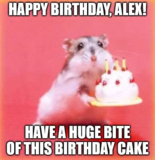 Happy Birthday, Alex - Birthday hamster Meme | Birthday Wishes Expert Happy Birthday, Alex - Birthday hamster Meme