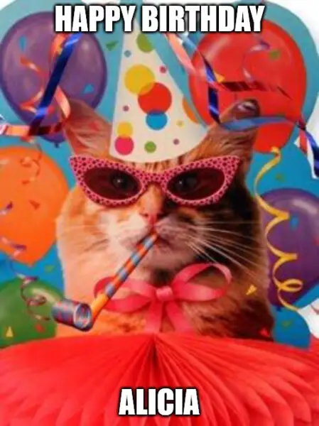 Happy Birthday, Alicia - Cat Celebration Meme