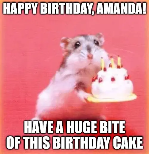 Happy Birthday, Amanda - Birthday hamster Meme.