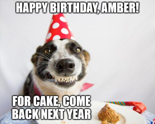 Happy Birthday, Amber - Birthday Dog Meme.