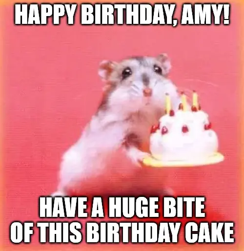 Happy Birthday, Amy - Birthday hamster Meme.