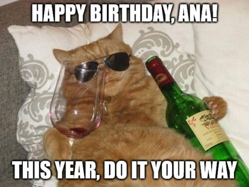 Happy Birthday, Ana - Funny Cat Meme.