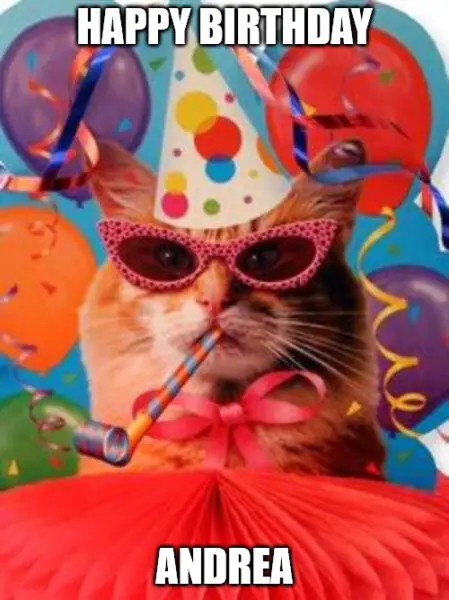 Happy Birthday, Andrea - Cat Celebration Meme | Birthday Wishes Expert Happy Birthday, Andrea - Cat Celebration Meme