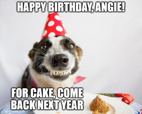 Happy Birthday, Angie - Birthday Dog Meme.
