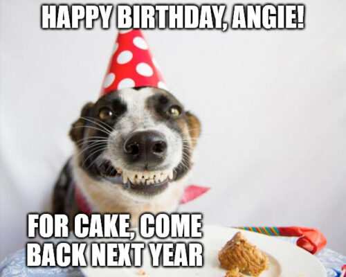 Happy Birthday, Angie - Birthday Dog Meme. | Birthday Wishes Expert Happy Birthday, Angie - Birthday Dog Meme.