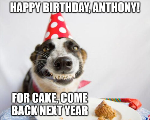 Happy Birthday, Anthony - Birthday Dog Meme. | Birthday Wishes Expert Happy Birthday, Anthony - Birthday Dog Meme.