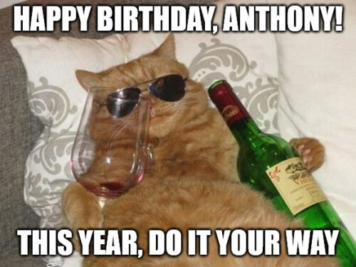 Happy Birthday, Anthony - Funny Cat Meme | Birthday Wishes Expert Happy Birthday, Anthony - Funny Cat Meme