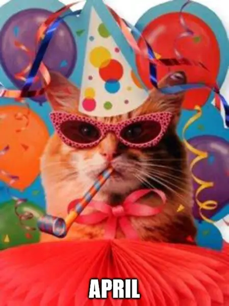 Happy Birthday, April - Cat Celebration Meme | Birthday Wishes Expert Happy Birthday, April - Cat Celebration Meme