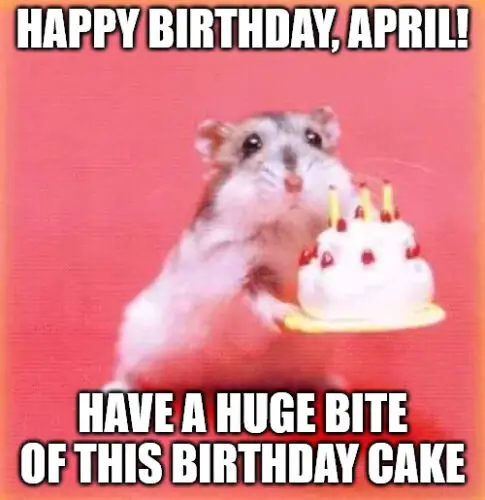 Happy Birthday, April - Birthday hamster Meme