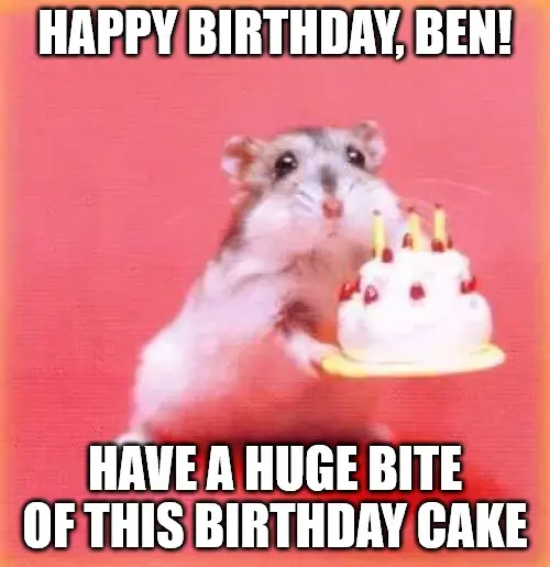 Happy Birthday, Ben – Have a huge bite of this Birthday Cake – Birthday  hamster Meme
