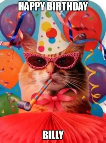 Happy Birthday, Billy - Cat Celebration Meme | Birthday Wishes Expert