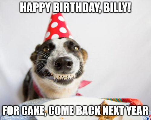 Happy Birthday, Billy - Birthday Dog Meme | Birthday Wishes Expert