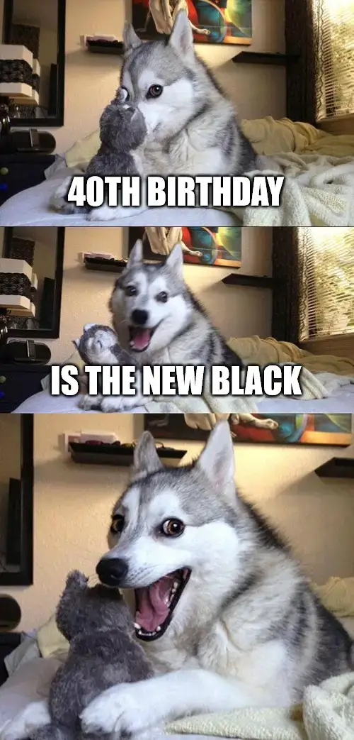 Turning 40th Birthday Bad Pun Dog Meme