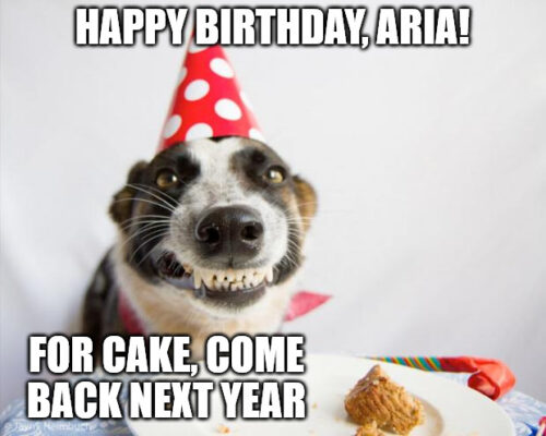 Happy Birthday, Aria - Birthday Dog Meme