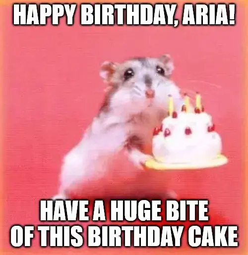 Happy Birthday, Aria - Birthday hamster Meme