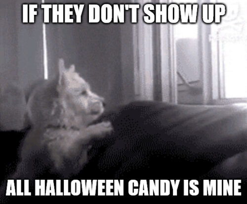 Halloween Candy Meme