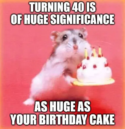 40th Birthday Memes with hamster for her.