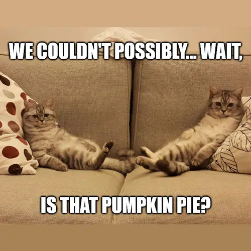Thanksgiving Memes.