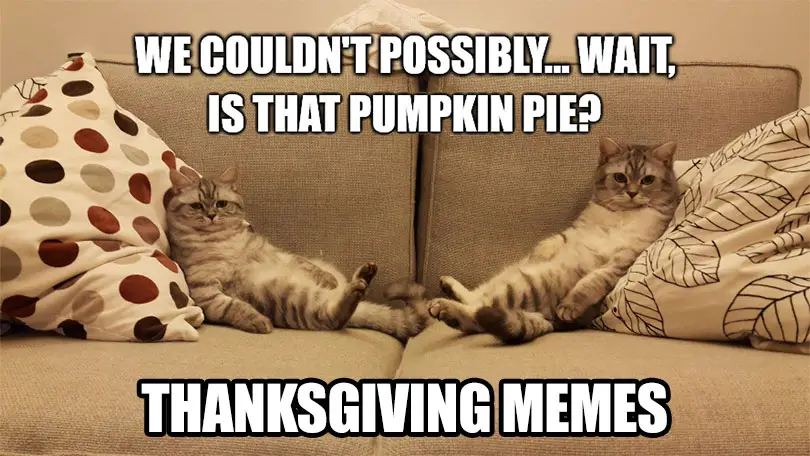 25 Thanksgiving Memes for Grateful Laughs