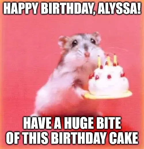 Birthday hamster Meme for Alyssa | Birthday Wishes Expert Birthday hamster Meme for Alyssa