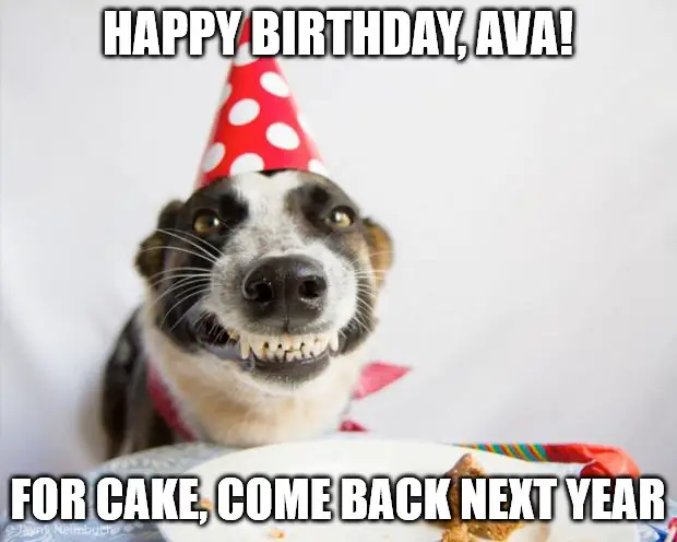 Birthday Dog Meme for Ava