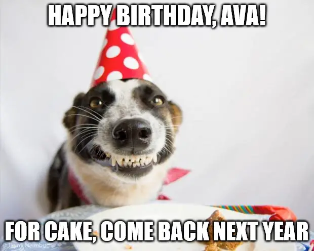 Birthday Dog Meme for Ava | Birthday Wishes Expert Birthday Dog Meme for Ava