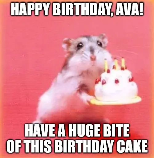 Birthday hamster Meme for Ava