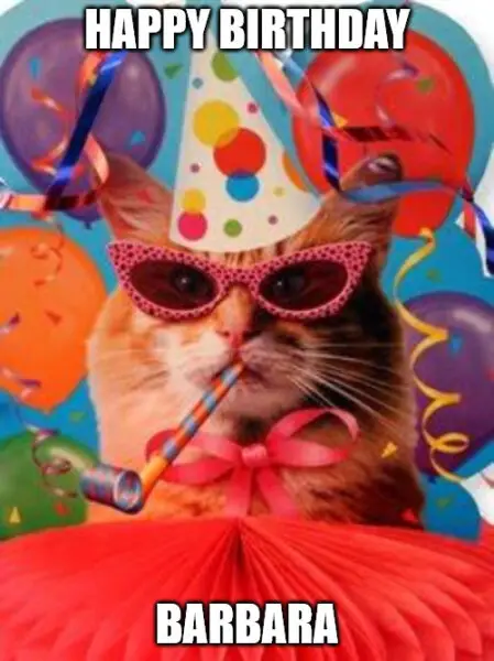 Cat Celebration Meme for Barbara | Birthday Wishes Expert Cat Celebration Meme for Barbara